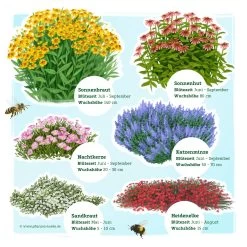 Insektenfreundliches Stauden Set, 18 Pflanzen Für 3 M², Bunt 13 Insektenfreundliches Stauden Set, 18 Pflanzen Für 3 M², Bunt -Gartenwelt Geschaft 0319100525 Insektengarten Stauden Mix 1 Set 18 Pflanzen 3 124760