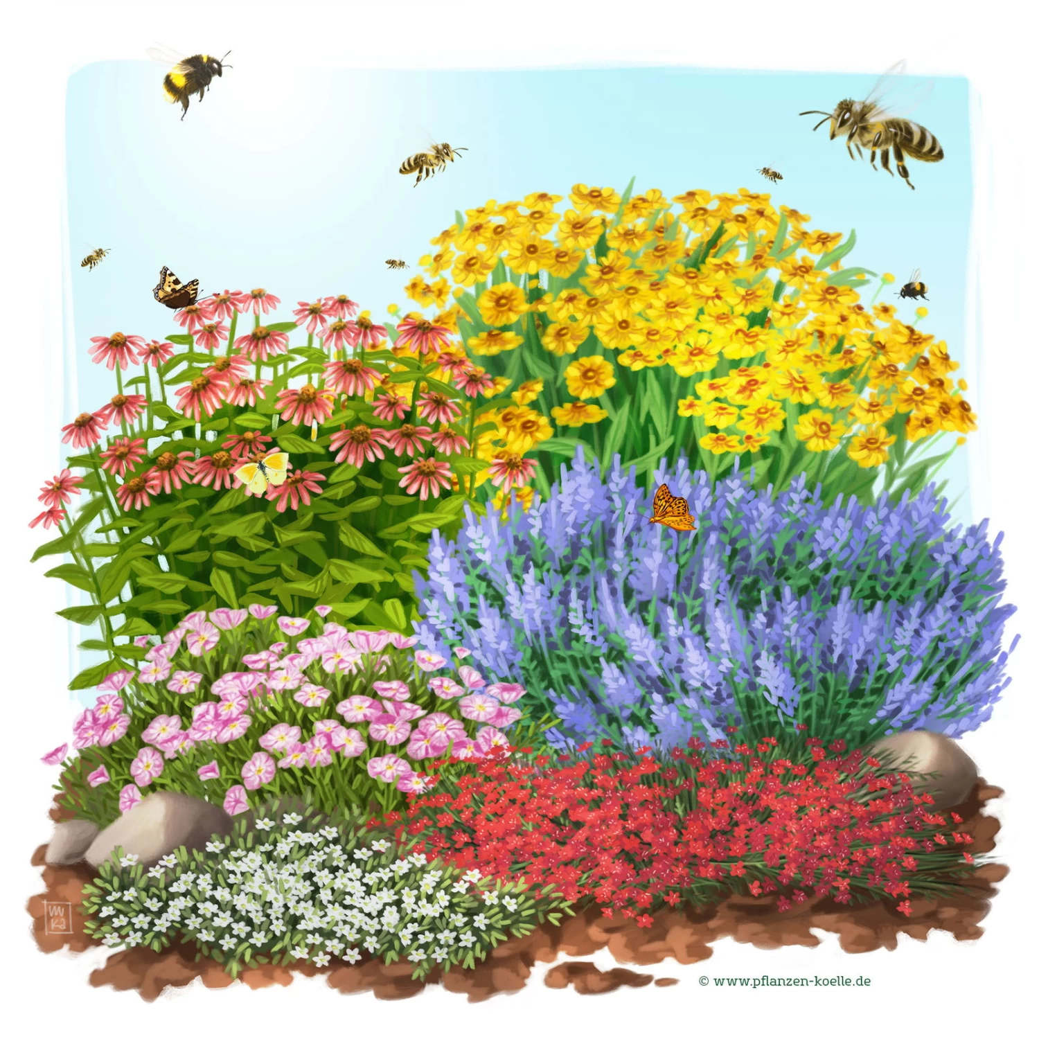 Insektenfreundliches Stauden Set, 18 Pflanzen Für 3 M², Bunt 1 Insektenfreundliches Stauden Set, 18 Pflanzen Für 3 M², Bunt