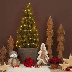 Zuckerhutfichte, Picea Glauca 'Conica', 3er Set, Topf 13 Cm Ø -Gartenwelt Geschaft 0430103726 0430104461 0430107206 Picea glauca Conica 83350