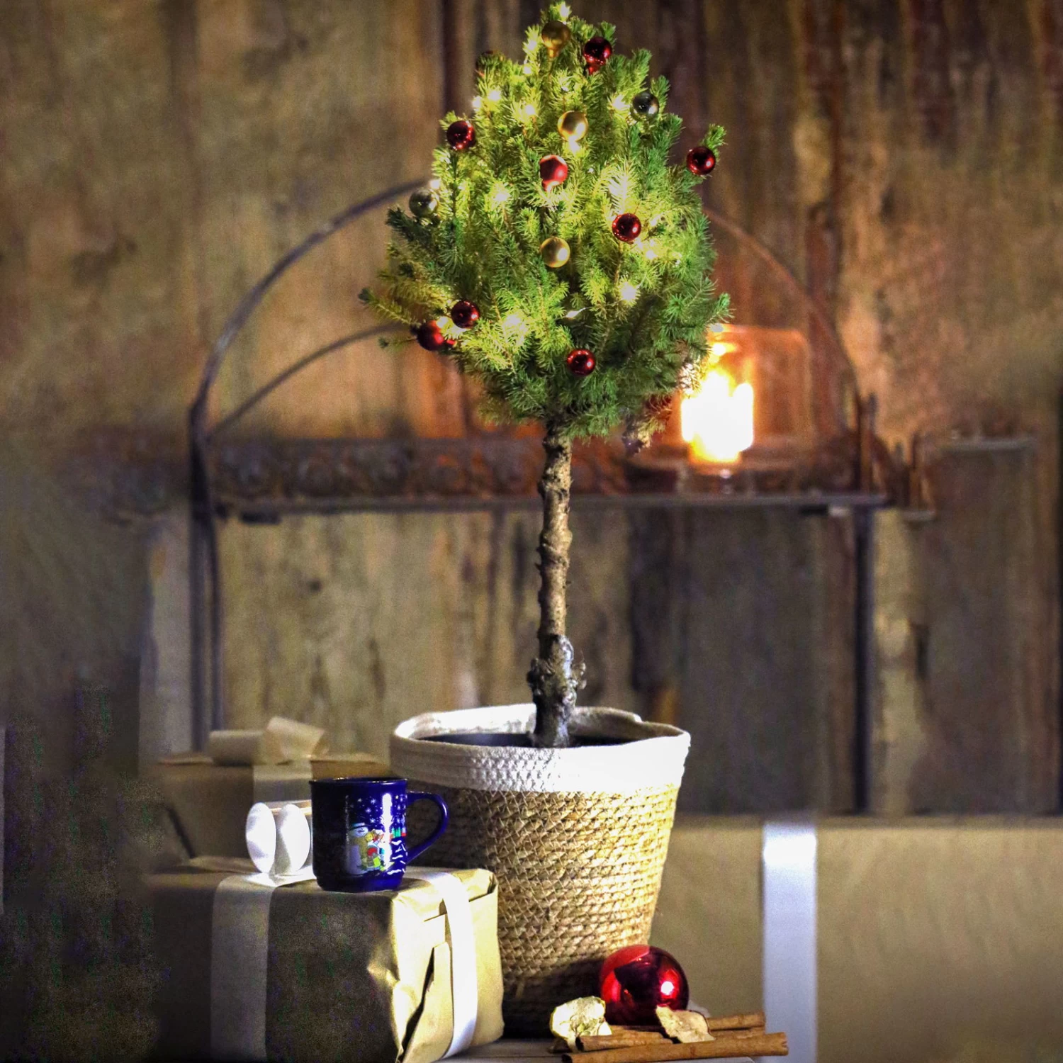 Weihnachtsbäumchen Auf Stamm Inkl. Deko, Rot-gold, Topf-Ø 23 Cm, Höhe Ca. 85 Cm 1 Weihnachtsbäumchen Auf Stamm Inkl. Deko, Rot-gold, Topf-Ø 23 Cm, Höhe Ca. 85 Cm