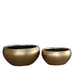 2er Set Indoor Pflanzschalen Aus Polystone - Gold - Zulu