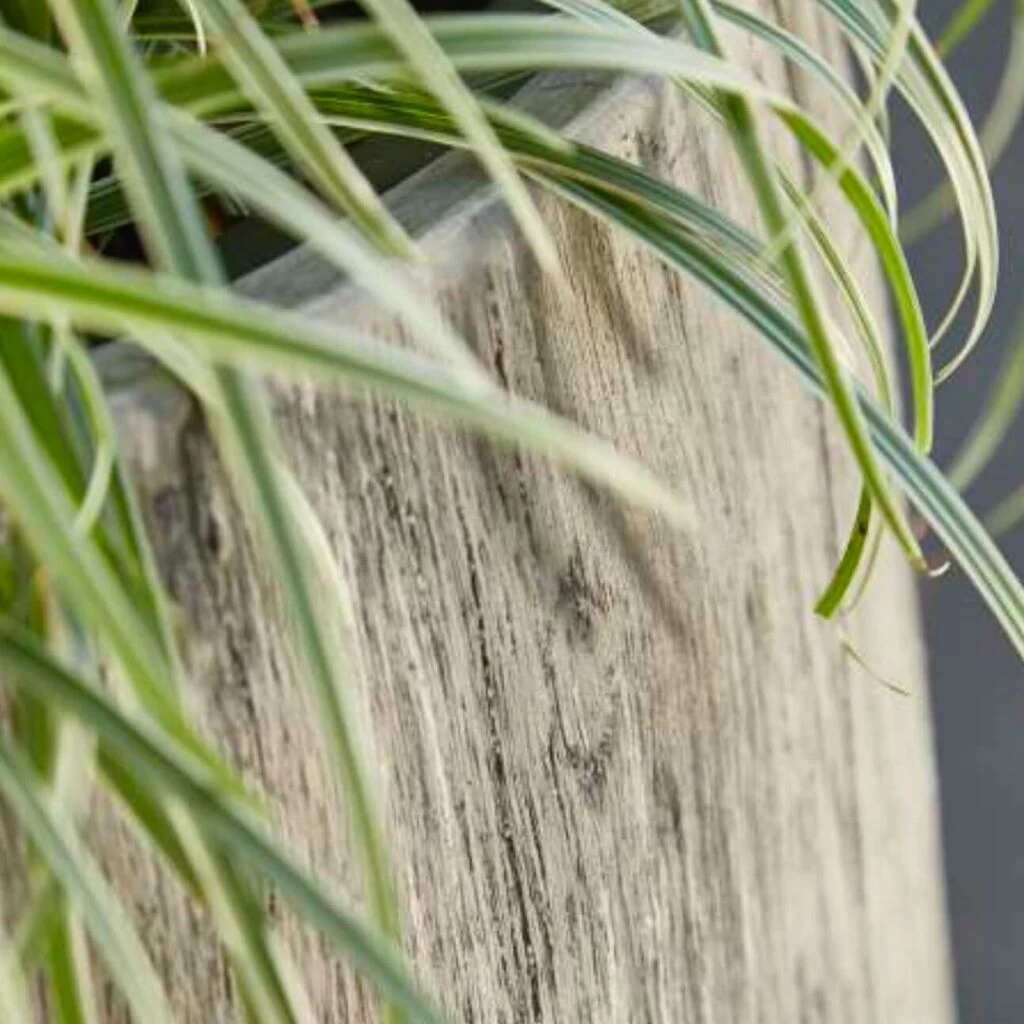 2er Set Pflanzkübel Aus Polystone Mit Einsatz - Rund - Grau Mit Holzstruktur-Optik - Yemaya 2 2er Set Pflanzkübel Aus Polystone Mit Einsatz - Rund - Grau Mit Holzstruktur-Optik - Yemaya – Bild 2