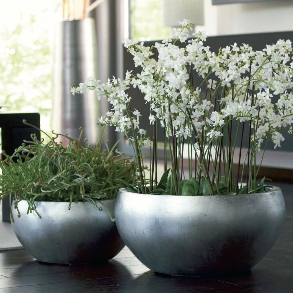 Gartenwelt Geschaft -Gartenwelt Geschaft 2er set pflanzschalen polystone silber indoor besma