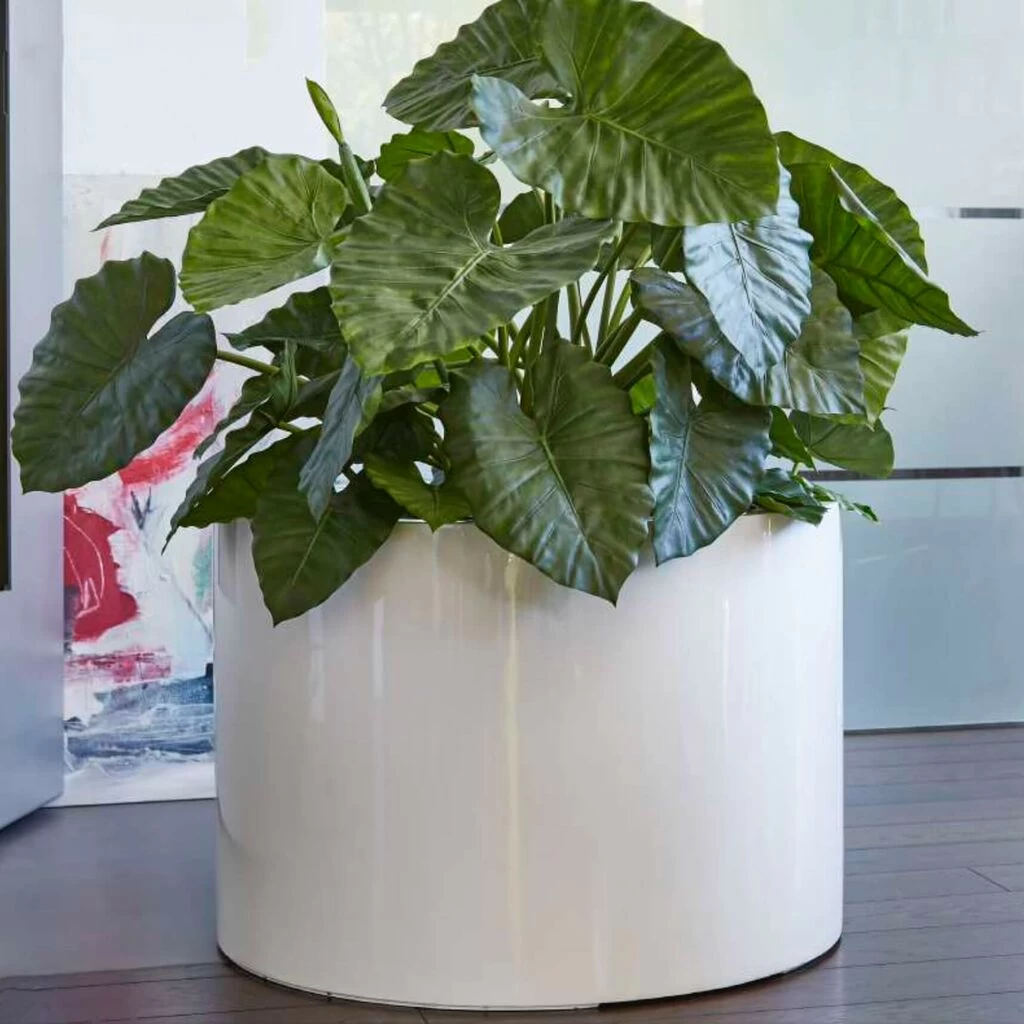 2er Set Runde Pflanzschale Aus Polystone - Weiß Glänzend - Feltria 1 2er Set Runde Pflanzschale Aus Polystone - Weiß Glänzend - Feltria