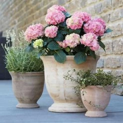 3er Set Pflanzgefäße - Terrakotta - Rund - Klassisch - Nubia