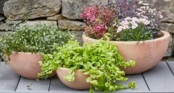 3er Set Schalen Zum Bepflanzen - Terrakotta - Rund - Kala -Gartenwelt Geschaft 3er set schalen zum bepflanzen terrakotta rund kala3