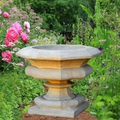 Antike Pflanzampohre - Loma