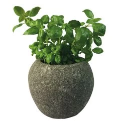Bauchiges Naturstein Pflanzgefäß Aus Basanit Für Kräuter - Nabila