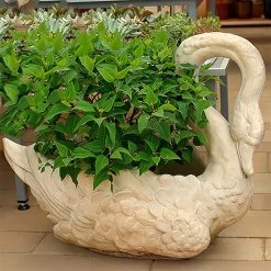 Einzigartige Pflanzschale Zum Bepflanzen - Schwan Aus Wetterfestem Steinguss - Erasmia