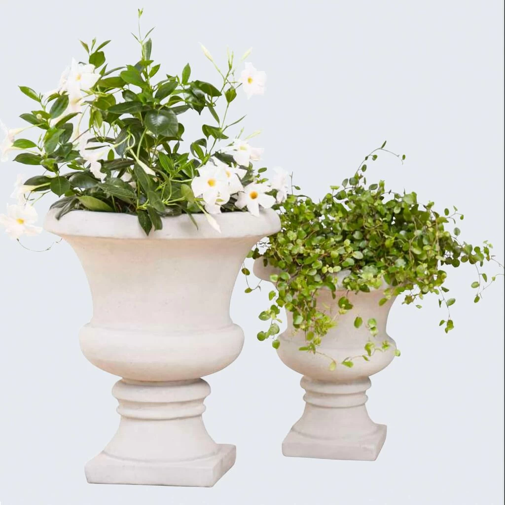 Elegante Pflanzamphore Aus Glasfaser-Beton - Asali 2 Elegante Pflanzamphore Aus Glasfaser-Beton - Asali – Bild 2