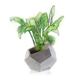 Elegantes Pflanzgefäß Aus Beton - Eckig - Mit Farbe - Mirakoma -Gartenwelt Geschaft elegantes pflanzgefaess aus beton eckig mit farbe mirakoma3