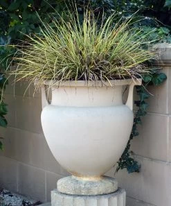 Englisches Stein Gefäß Steinguss - Herakles -Gartenwelt Geschaft englisches stein gefaess steinguss herakles4