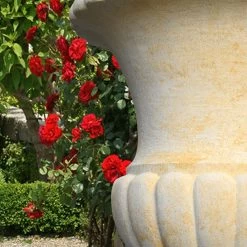 Große Stein Gartenamphore - Goethe Amphore -Gartenwelt Geschaft grosse stein gartenamphore goethe amphore4