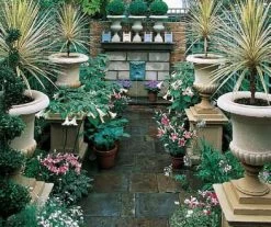 Großer Pflanztopf Historisch - Plympton Castle -Gartenwelt Geschaft grosser pflanztopf historisch plympton castle3