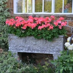 Großer Stein Pflanztrog Antik - Vicenza Grande 7 Großer Stein Pflanztrog Antik - Vicenza Grande -Gartenwelt Geschaft grosser stein pflanztrog antik vicenza grande3