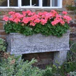 Großer Stein Pflanztrog Antik - Vicenza Grande 8 Großer Stein Pflanztrog Antik - Vicenza Grande -Gartenwelt Geschaft grosser stein pflanztrog antik vicenza grande4