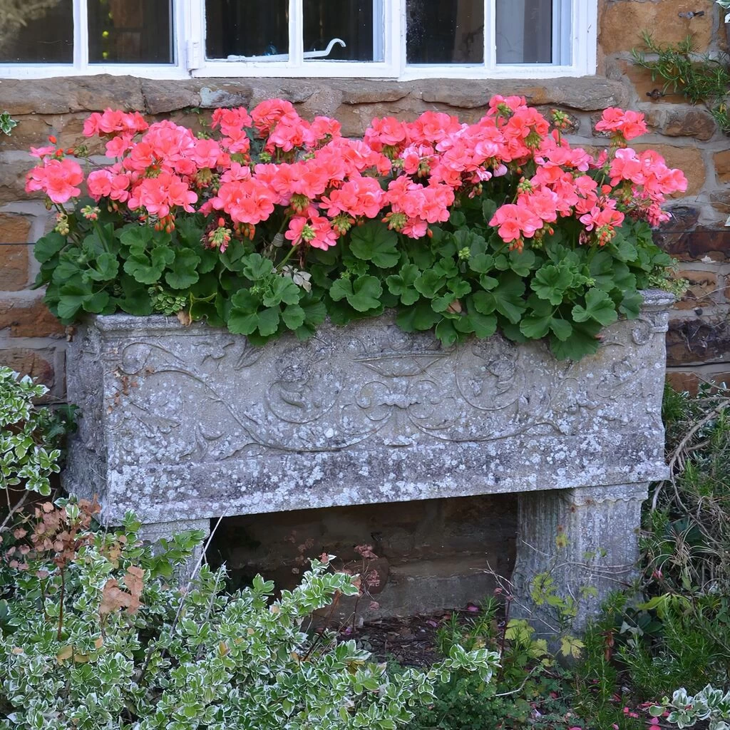 Großer Stein Pflanztrog Antik - Vicenza Grande 4 Großer Stein Pflanztrog Antik - Vicenza Grande – Bild 4