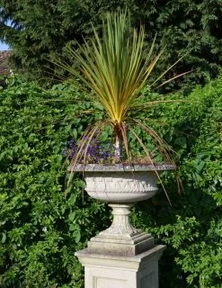 Großes Gartengefäß Historisch - Brickhill Manor -Gartenwelt Geschaft grosses gartengefaess historisch brickhill manor3