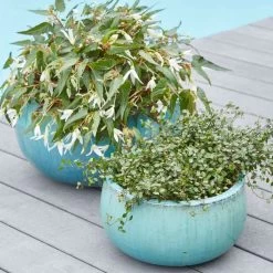 Pflanzschale Aus Glasierter Keramik - Ocean Blue - 2er Set - Zumano