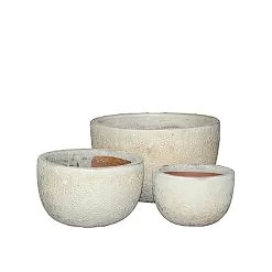 Pflanzschale Im Antik-Look - 3er Set - Winterfest - Morano