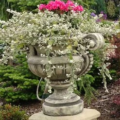 Romantische Pflanzamphore Für Den Garten - Wilhelma