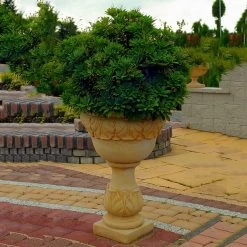 Runde Steinguss Pflanzvase Mit Säule Im Antiken Stil - Kallisti