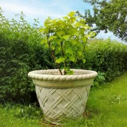 Runder Steinguss Pflanztopf In Korboptik - Filonas