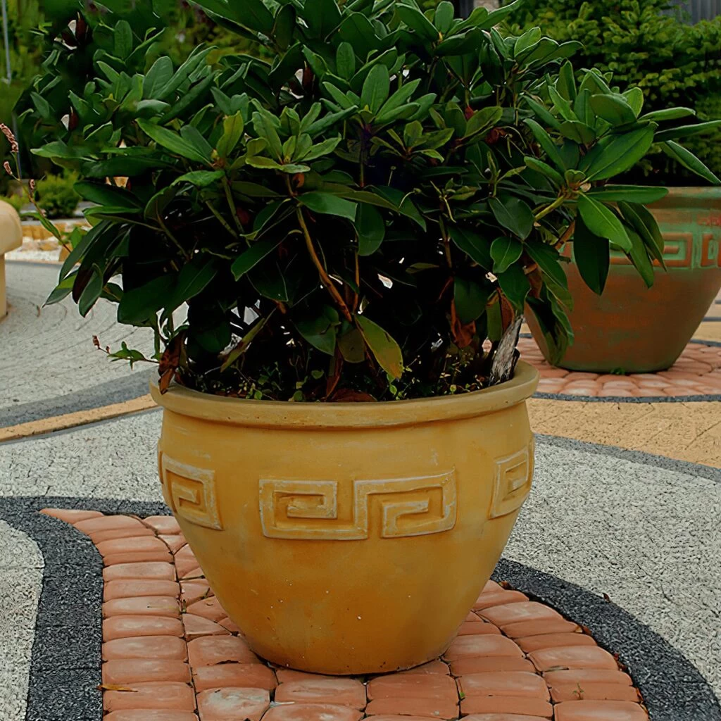 Rundes Pflanzgefäß Im Antiken Design - Verschiedene Farbtöne - Lelex 1 Rundes Pflanzgefäß Im Antiken Design - Verschiedene Farbtöne - Lelex