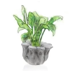 Schöner Blumentopf In Blütenform Aus Architekturbeton - Balla -Gartenwelt Geschaft schoener blumentopf in bluetenform aus architekturbeton balla3