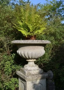 Stein Gartengefäß Antik - Ascott Place -Gartenwelt Geschaft stein gartengefaess antik ascott place5