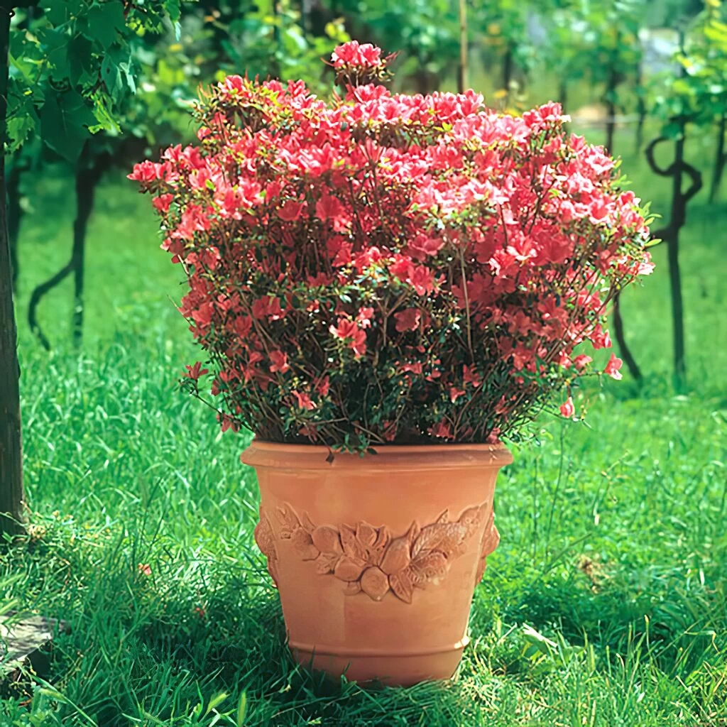 Terrakotta Topf Rund Mit Floralem Dekor - Andrea 1 Terrakotta Topf Rund Mit Floralem Dekor - Andrea