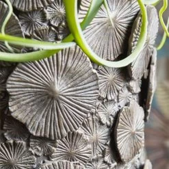 XXL Vase Mit Einsatz - Polystone - Grau - Indoor - Rund - Semere 5 XXL Vase Mit Einsatz - Polystone - Grau - Indoor - Rund - Semere -Gartenwelt Geschaft xxl vase mit einsatz polystone grau indoor rund semere3